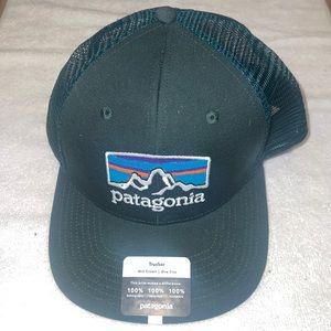 Patagonia fitz roy Horizons green trucker hat